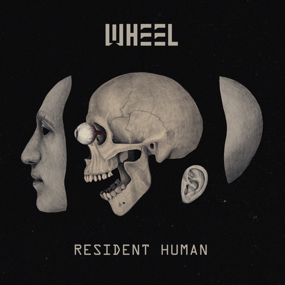 wheel - resident human.jpg